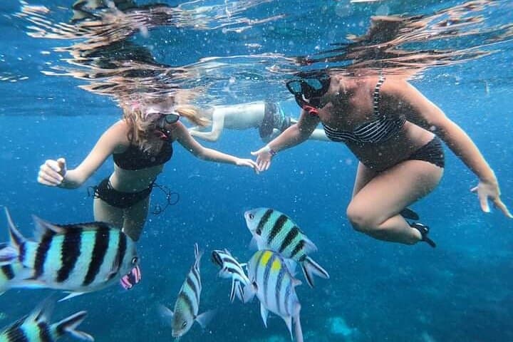 Nusa Penida Full Day: Snorkel GT Point & Kelingking Cliff Tour photo 5