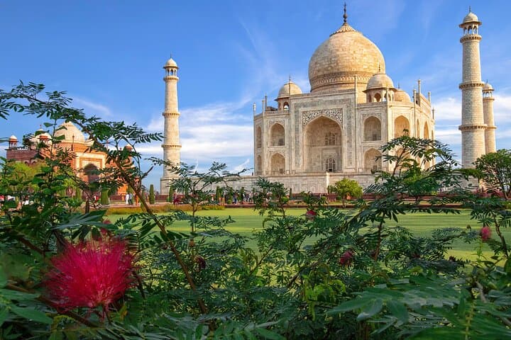 Same-Day Taj Mahal & Agra Fort Tour from Delhi photo 2