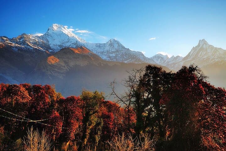 Annapurna Circuit Trek: Thorong La, Manang & Muktinath (15–16 Days)