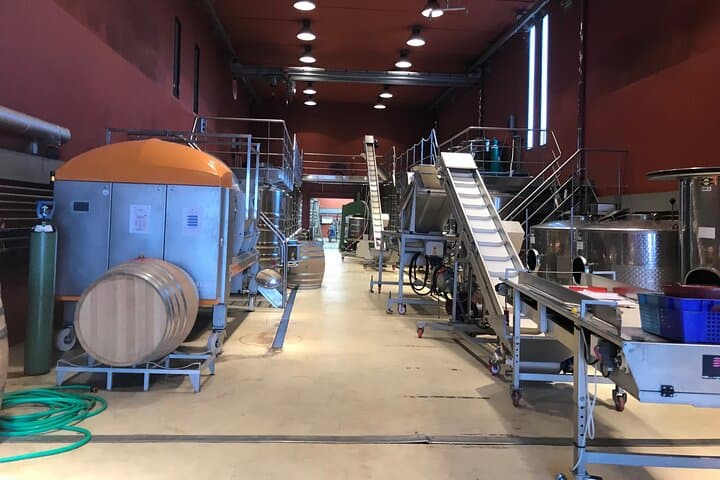 Private Wine Tour of Two Estates with Tasting near Saint-Paul-de-Vence photo 3