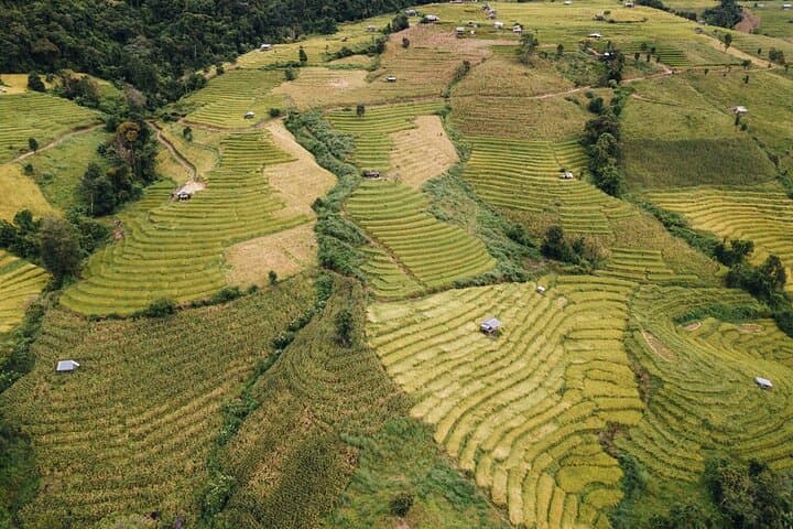Doi Inthanon Pha Dok Siew Trek: Waterfalls, Hill Tribes & Summit Trails photo 2