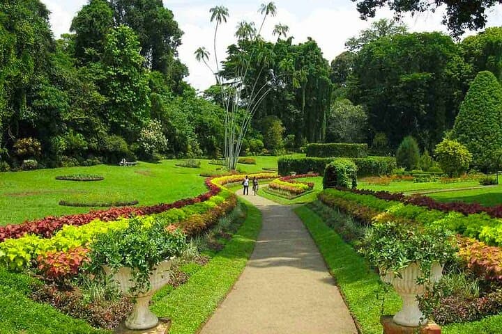 Kandy Day Tour: Three Temples, Peradeniya Gardens & Temple of the Tooth photo 4