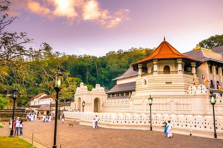 Kandy Day Tour: Three Temples, Peradeniya Gardens & Temple of the Tooth photo 5