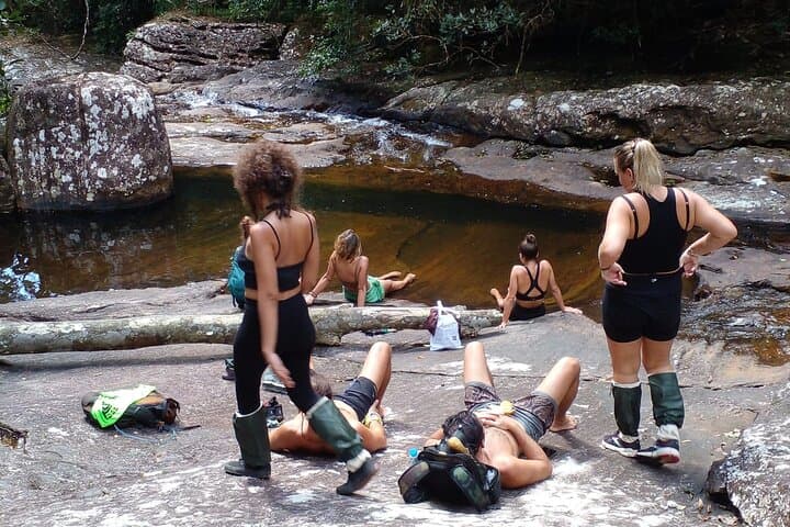 Sinharaja Rain Forest Bird Watching: Private Guided Tour to Sri Lanka's Endemics photo 5