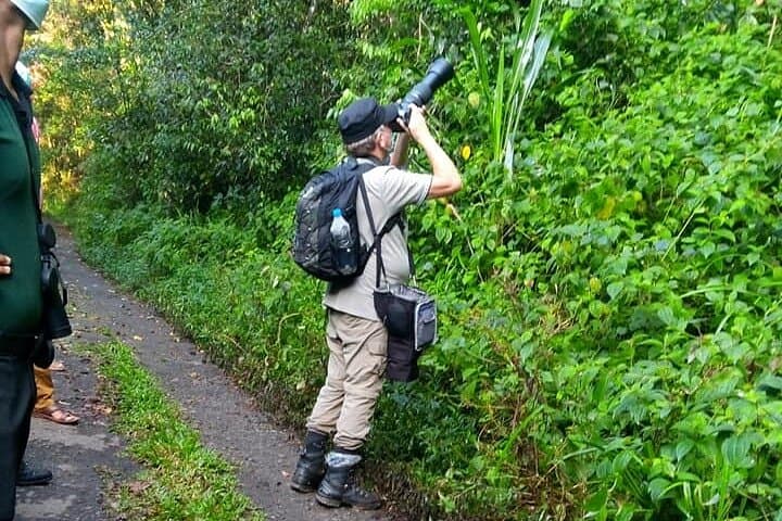 Sinharaja Rain Forest Bird Watching: Private Guided Tour to Sri Lanka's Endemics photo 3