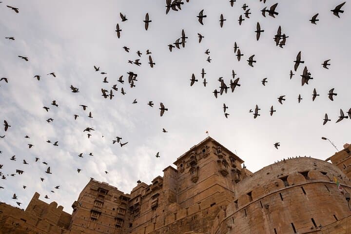 3-Day Jaisalmer Private Tour: Forts, Camel Safari & Desert Nights photo 4