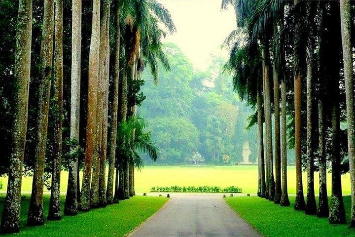 Private Two-Day Companion Tour: Kandy & Nuwara Eliya Cultural Escape photo 3