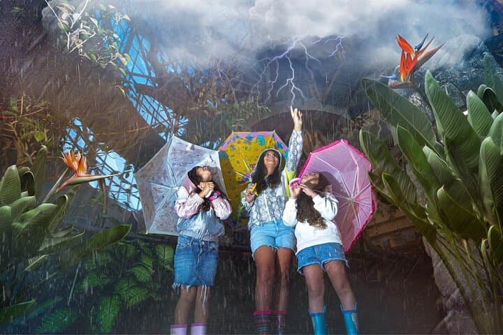 Inside Dubai’s Green Planet: A Vertical Rainforest Experience at City Walk