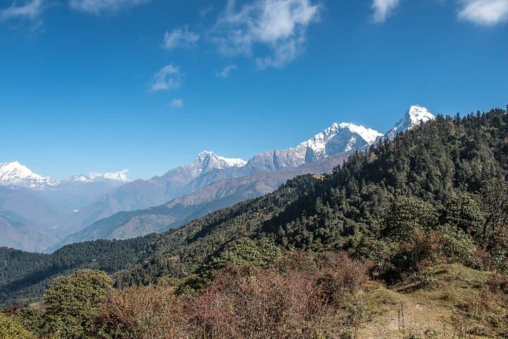 Mohare Danda Trek: 12-Day Annapurna Region Trek from Kathmandu & Pokhara photo 5