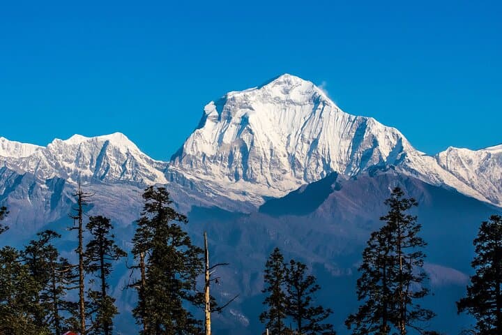 Mohare Danda Trek: 12-Day Annapurna Region Trek from Kathmandu & Pokhara photo 6