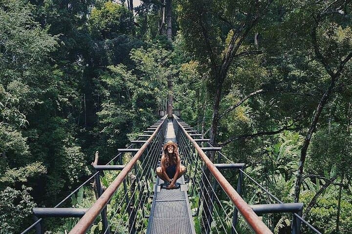 Hanuman World Zipline & Skywalk Phuket: Rainforest Canopy Adventure Near Patong photo 4