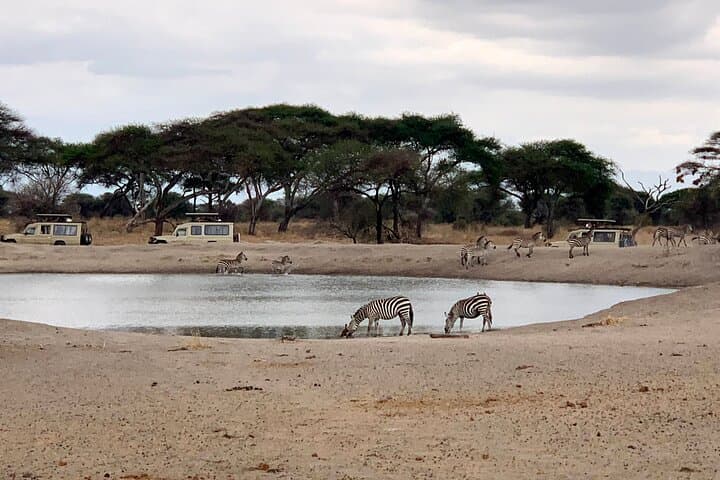 3-Day Adventure Camping Safari Through Tarangire, Ngorongoro Crater & Lake Manyara photo 5