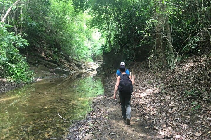 Jaguar's Footprint: Hike and Gaita Music Day Trip from Cartagena