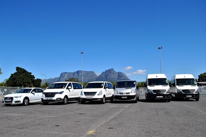 Hermanus Whales and Wine: Full-Day Private Tour on Clarence Drive photo 2
