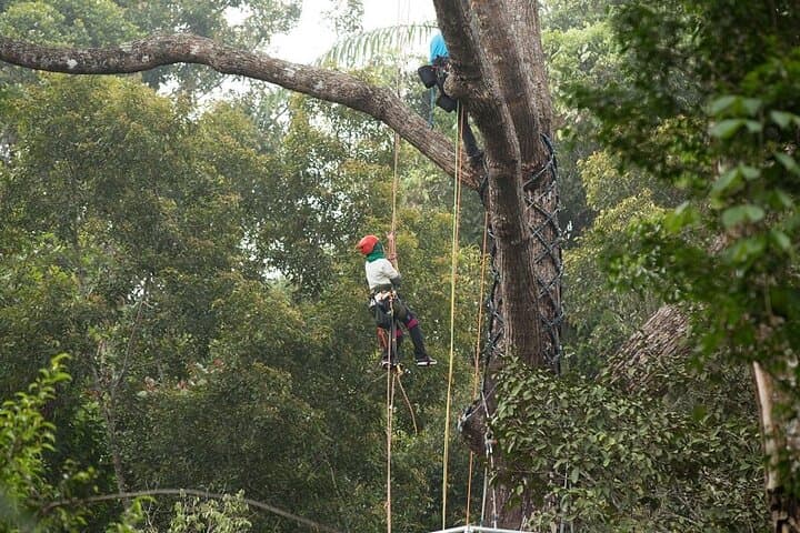 Panoramic Penang Hill & The Habitat: Canopy Bridges, 360° Views & Rainforest Trails photo 5