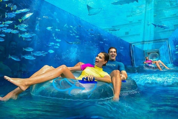 Inside Dubai Aquarium & Underwater Zoo: Giant Tank, Marine Life & Visitor Tips photo 6
