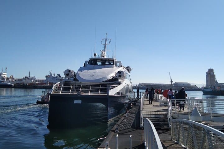 Robben Island Tour from Cape Town — Ferry to Mandela’s Cell and Island History photo 2
