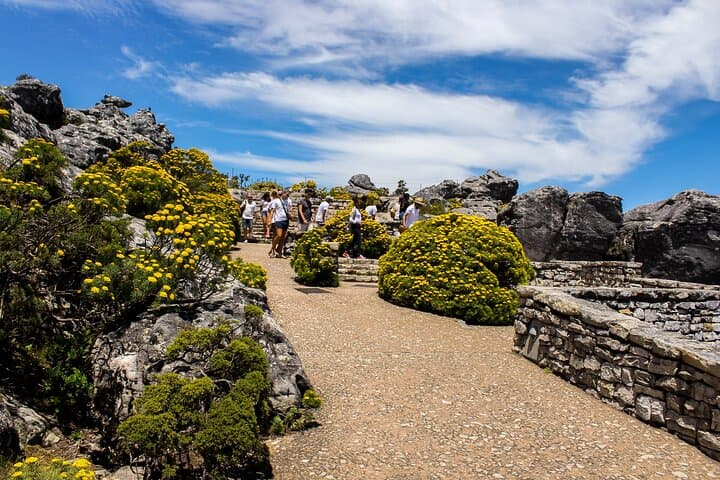 Table Mountain Summit Tour: Cable Car, Short Trails & 360-Degree Cape Town Views photo 2