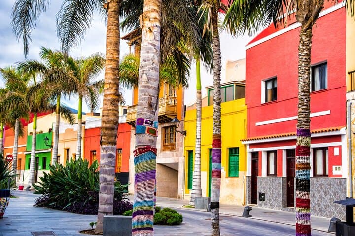 Best Spots in Tenerife: Private 2-Hour Walking Tour in Puerto de la Cruz photo 2