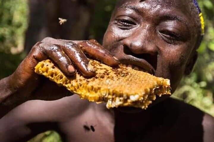 3-Day Private Lodge Safari to Lake Eyasi & Ngorongoro Crater — Hadzabe Cultural Visit