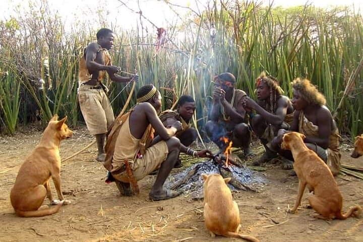 3-Day Private Lodge Safari to Lake Eyasi & Ngorongoro Crater — Hadzabe Cultural Visit photo 5