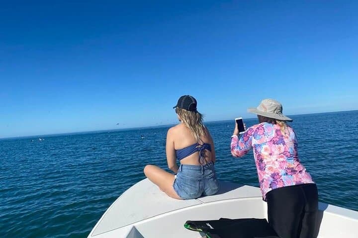 Sarasota Private Day Boating Charter: Dolphin Watching, Snorkel & Sandbar Escapes photo 5