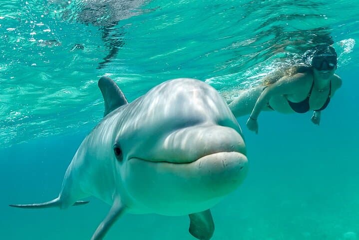 Snorkel Eco Tour Providenciales — Small-Group Reef Snorkeling in Turks and Caicos