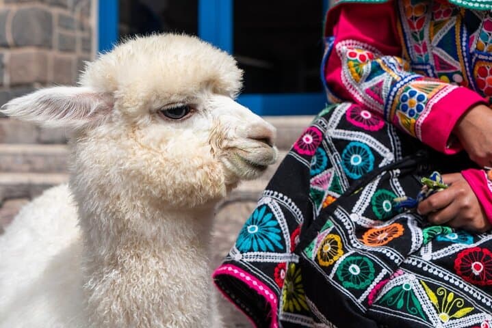 Belmond Hiram Bingham: 4-Day Luxury Train to Machu Picchu From Cusco photo 4