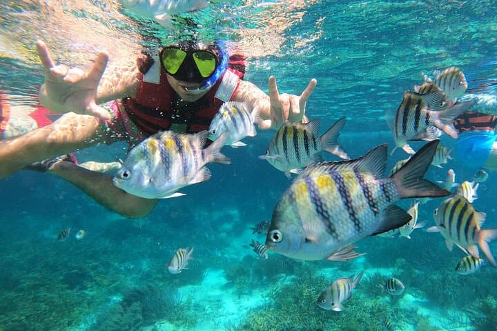 VIP Semiprivate Snorkel Tour Isla Mujeres: 4 Reefs + MUSA in 3 Hours