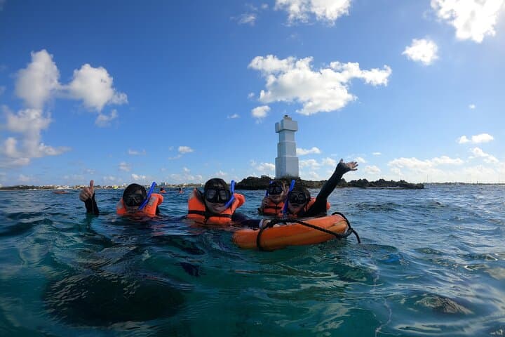 VIP Semiprivate Snorkel Tour Isla Mujeres: 4 Reefs + MUSA in 3 Hours photo 3