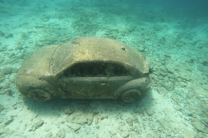 VIP Semiprivate Snorkel Tour Isla Mujeres: 4 Reefs + MUSA in 3 Hours photo 6
