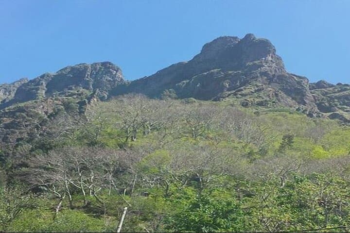 Scenic Route: Nuns Valley Tour from Funchal to Curral das Freiras photo 4