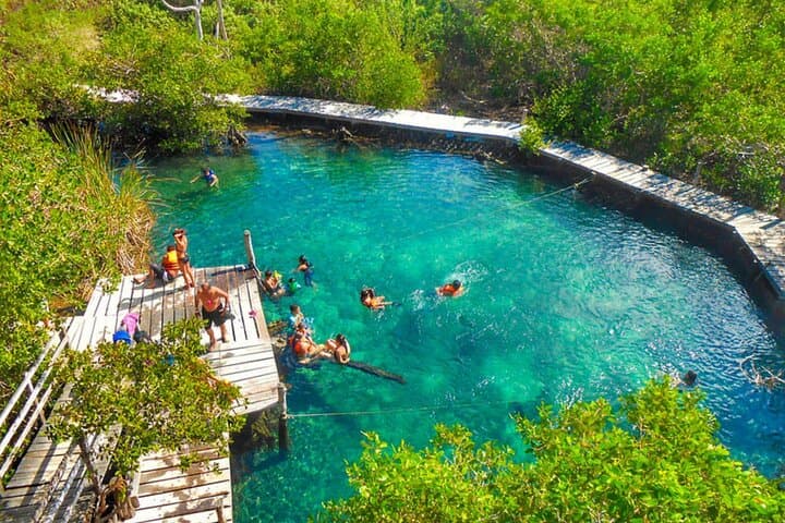 Holbox Adventure with Cenote Yalahau: Day Trip from Cancun & Riviera Maya photo 3