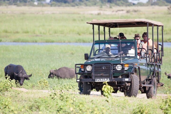 Chobe National Park: Boat Cruise and Game Drive Day Trip from Kasane