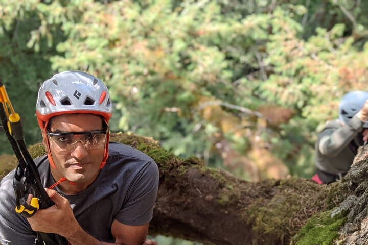 Sunset Tree Climb at Silver Falls State Park — Guided Old‑Growth Canopy Adventure photo 3