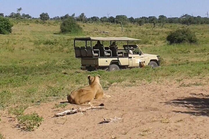 Chobe Game Drive: 3-Hour Safari Through Botswana’s Elephant Kingdom photo 3