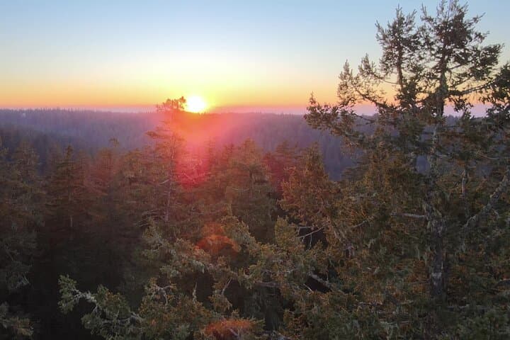 Sunset Tree Climb at Silver Falls State Park — Guided Old‑Growth Canopy Adventure photo 4