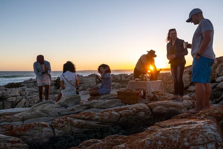 Cape Recife Marine Eco Safari — Whale, Dolphin & Birding Drives from Gqeberha photo 4