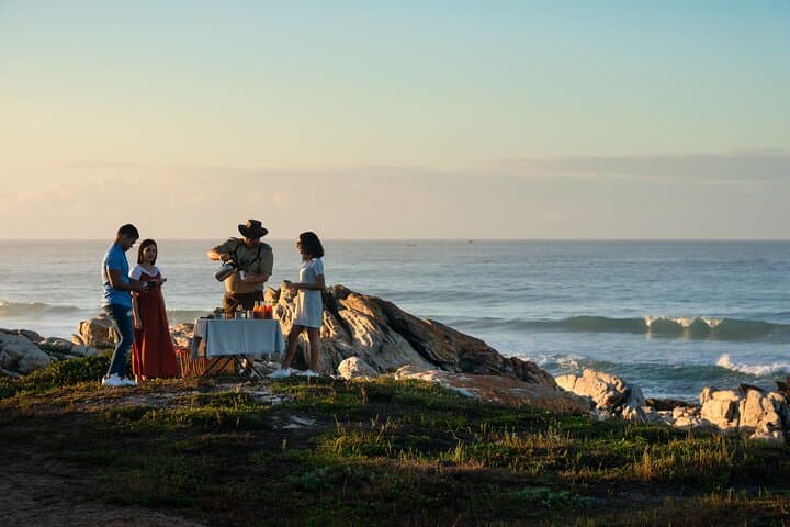 Cape Recife Marine Eco Safari — Whale, Dolphin & Birding Drives from Gqeberha photo 1
