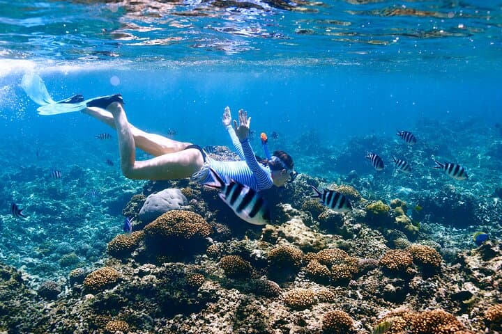 El Cielo Snorkel: Cozumel Day Trip to Reefs, Starfish & Lunch photo 3