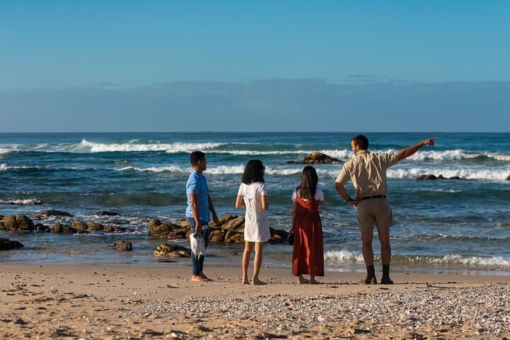 Cape Recife Marine Eco Safari — Whale, Dolphin & Birding Drives from Gqeberha photo 2