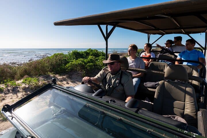 Cape Recife Marine Eco Safari — Whale, Dolphin & Birding Drives from Gqeberha photo 3