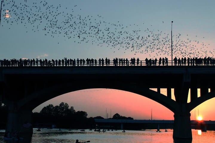 Sunset Bat Kayak Tour on Lady Bird Lake — Congress Avenue Bridge Bats photo 2