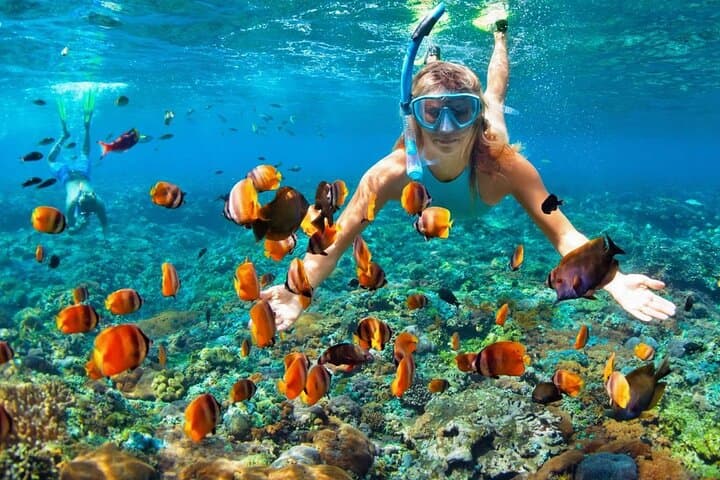 Punta Cana Speedboat & Snorkeling Adventure to the Natural Pool photo 3