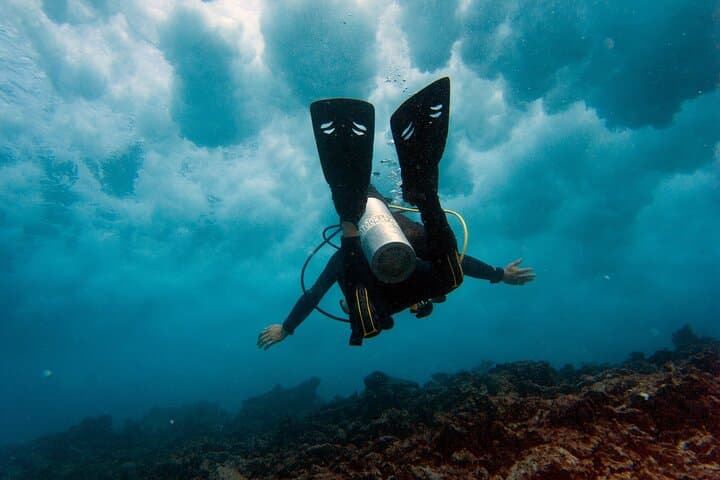 First-Time Scuba in Cancun: MUSA & Mesoamerican Reef Beginner Dive
