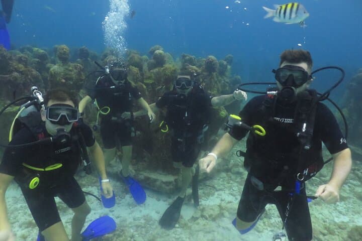 First-Time Scuba in Cancun: MUSA & Mesoamerican Reef Beginner Dive photo 5