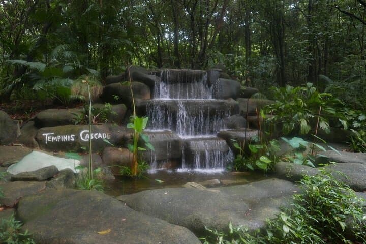 Sentosa Mount Imbiah Trail & Mega Adventure Zipline — Private Nature and Adventure Tour