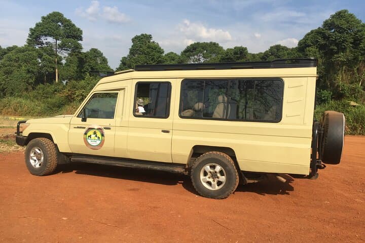 3-Day Murchison Falls Safari: Big Five, Boat Cruise & Falls Hike photo 6