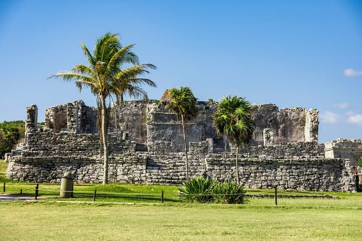 Tulum Cenotes, Ruins & Madre Naturaleza: Full-Day Combo Tour Guide photo 6