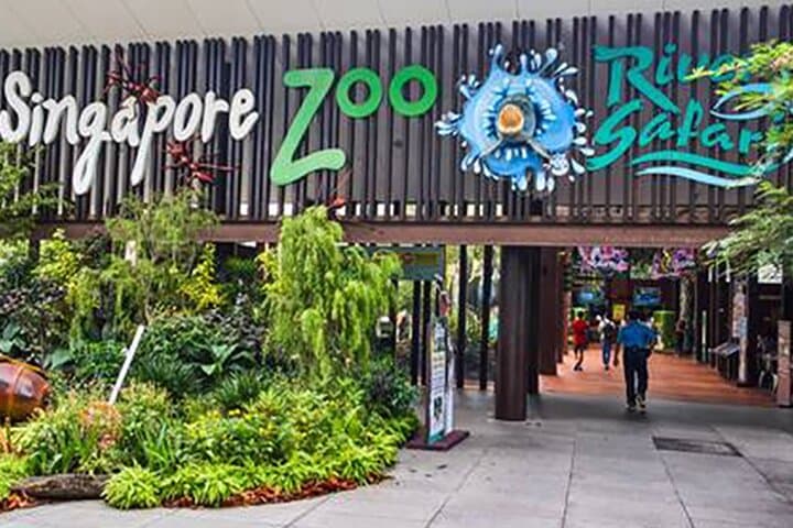 Singapore Full-Day Private Family Tour: Zoo, River Safari & Night Safari